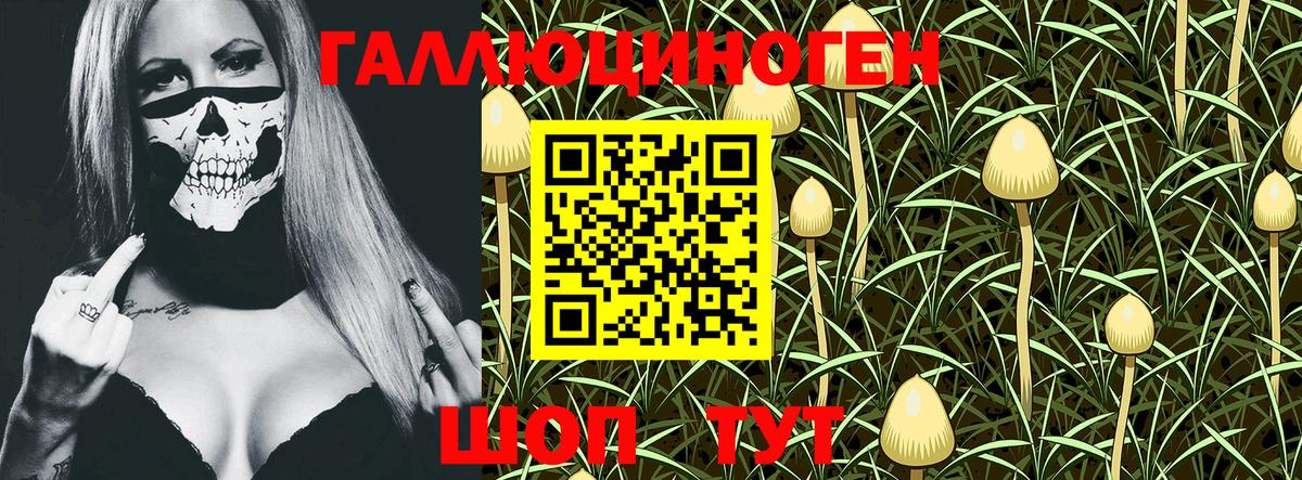 Галлюциногенные грибы Magic Shrooms Избербаш