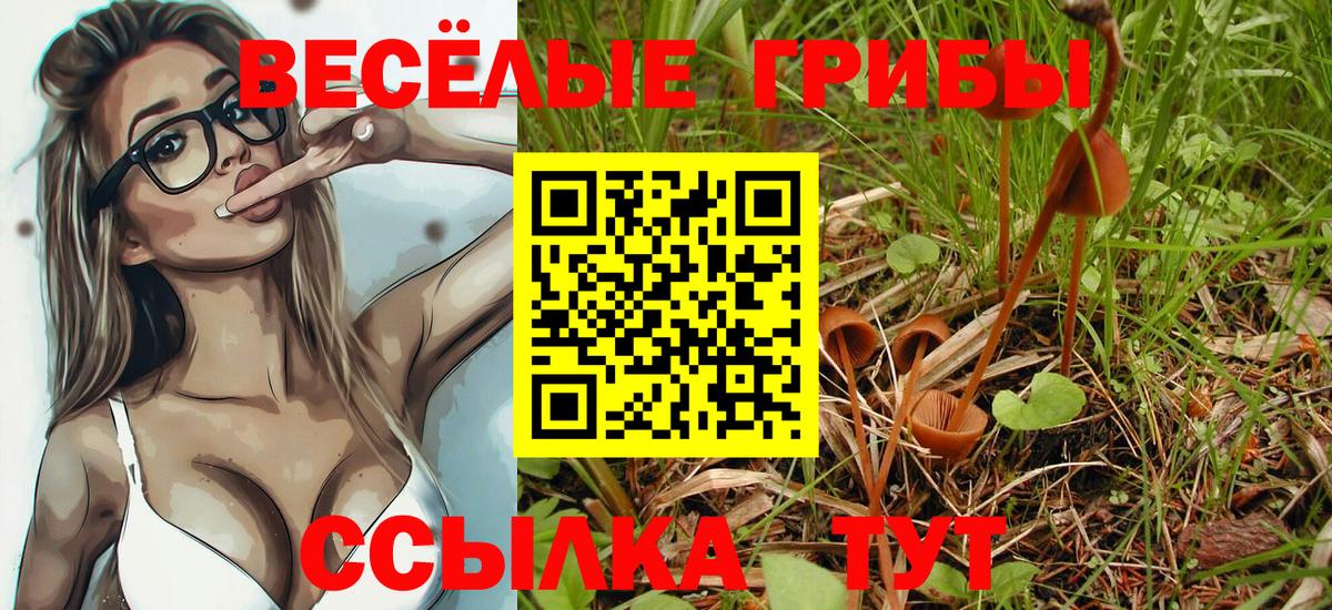 Псилоцибиновые грибы GOLDEN TEACHER  Псилоцибиновые грибы мицелий  Вход с VPN  Избербаш 